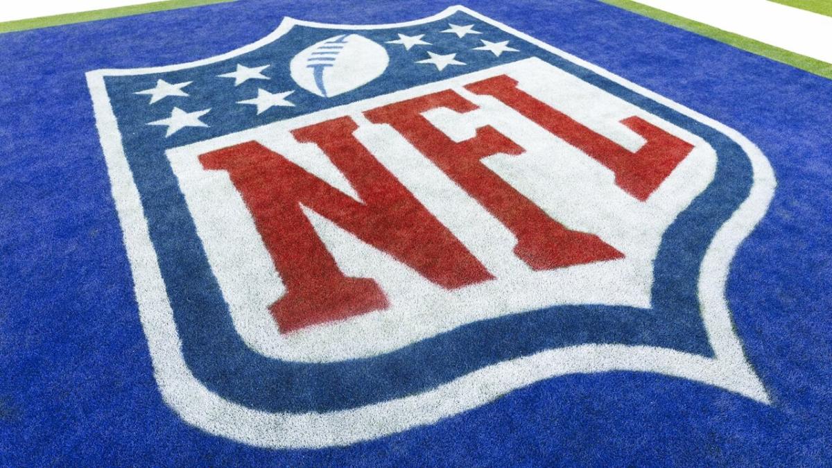The NFL logo